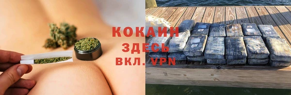 молекула духа Алзамай