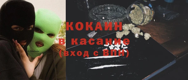 шишки Алексин