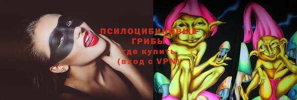 spice Алексеевка