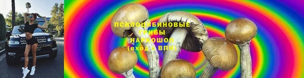 шишки Алексин