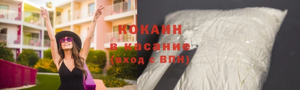 шишки Алексин