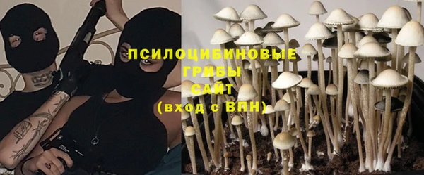 молекула духа Алзамай