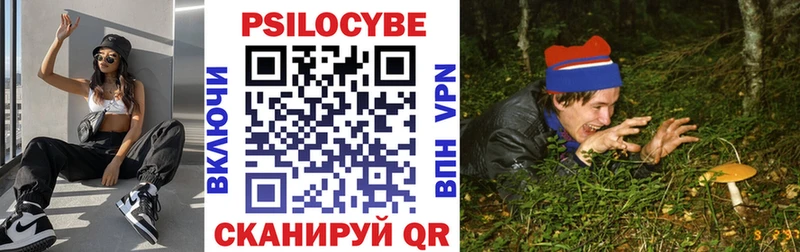 площадка официальный сайт  Десногорск  Галлюциногенные грибы Psilocybine cubensis  наркота 